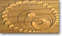 crop-circles-aug-2010